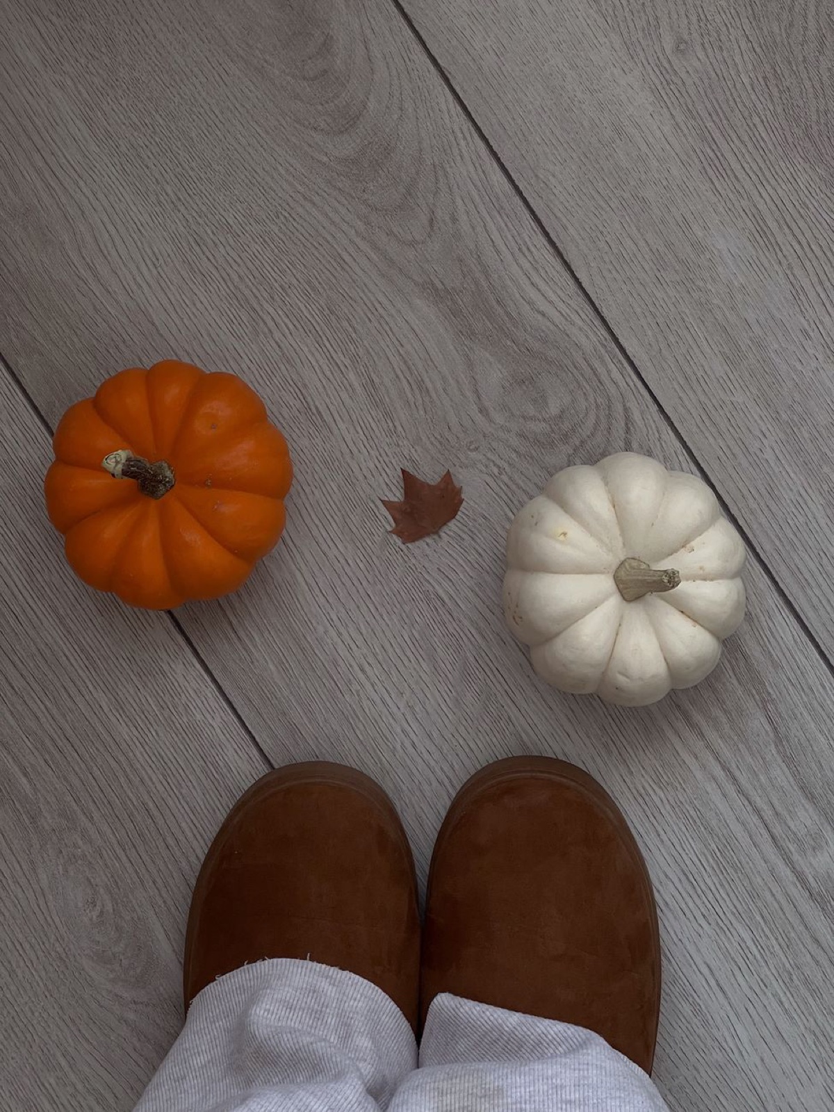 Top-down view of chestnut suede mini boots beside one orange and one white mini pumpkin on pale wood flooring